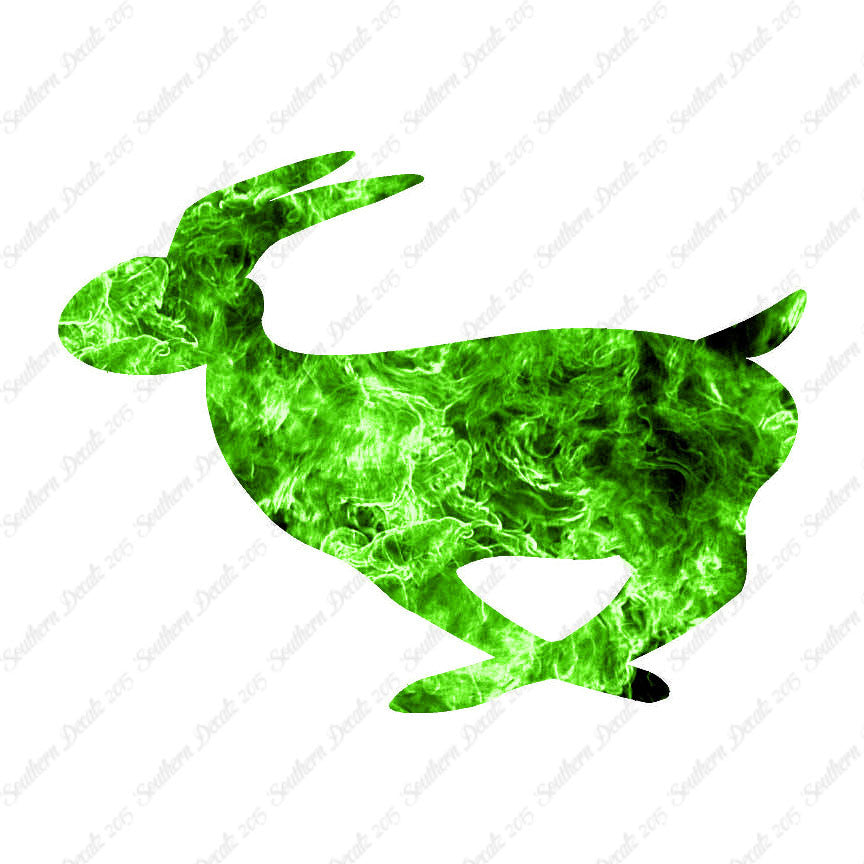 Rabbit Bunny Running