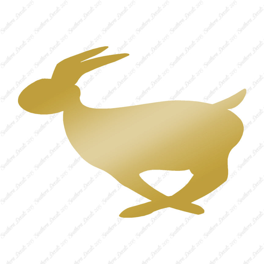 Rabbit Bunny Running
