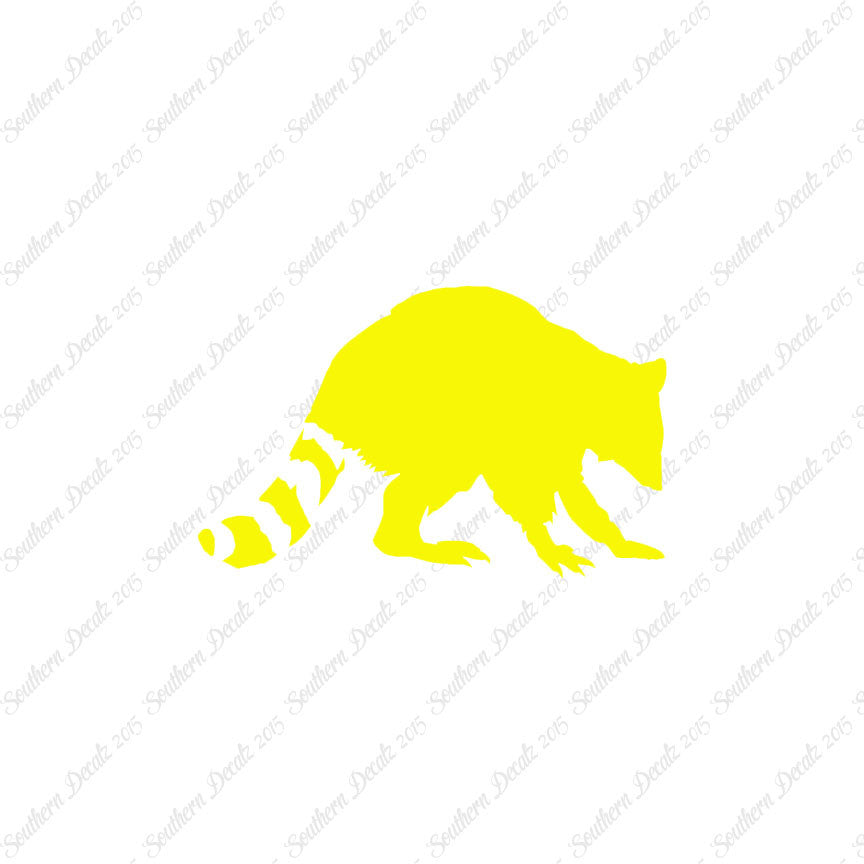 Raccoon