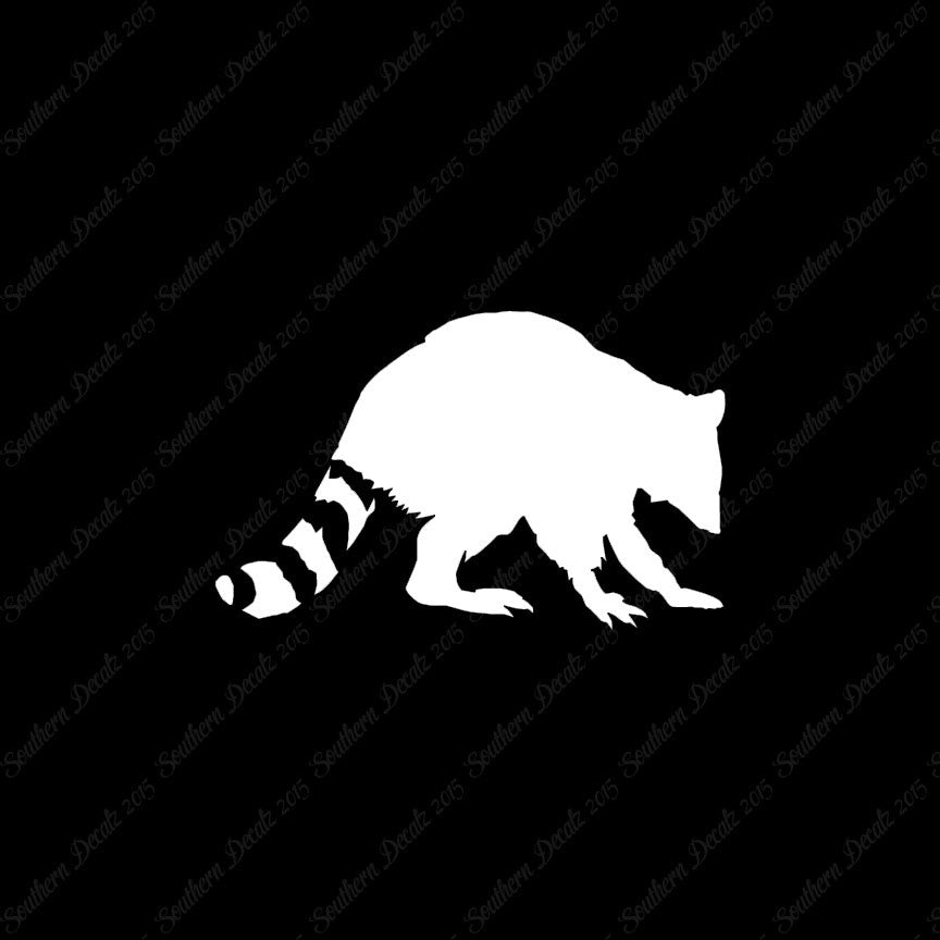 Raccoon