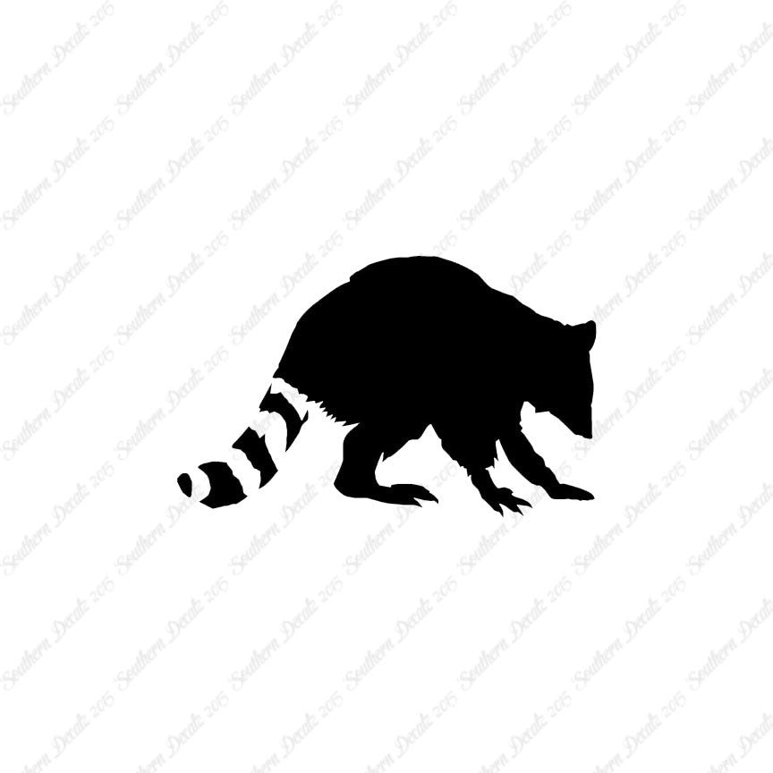 Raccoon