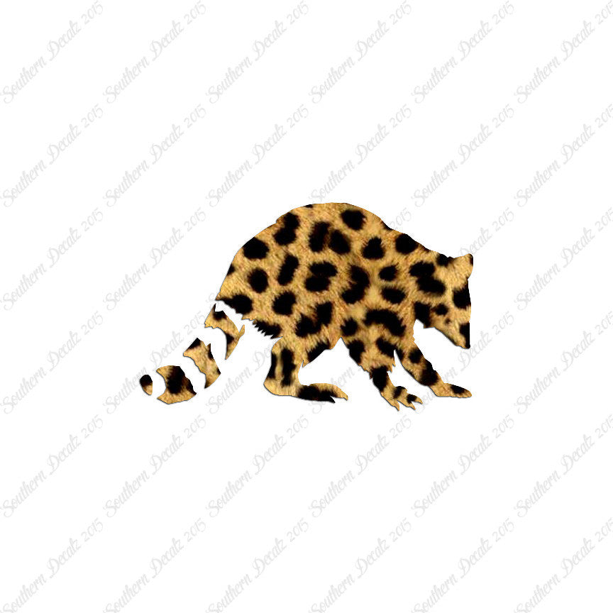 Raccoon