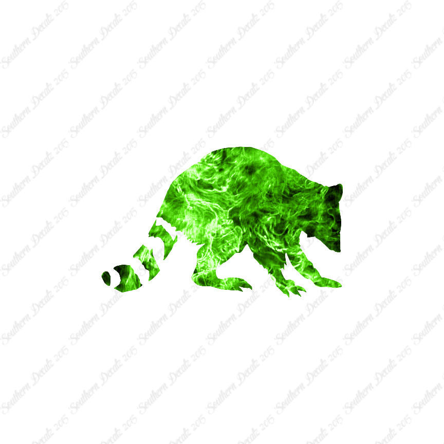 Raccoon