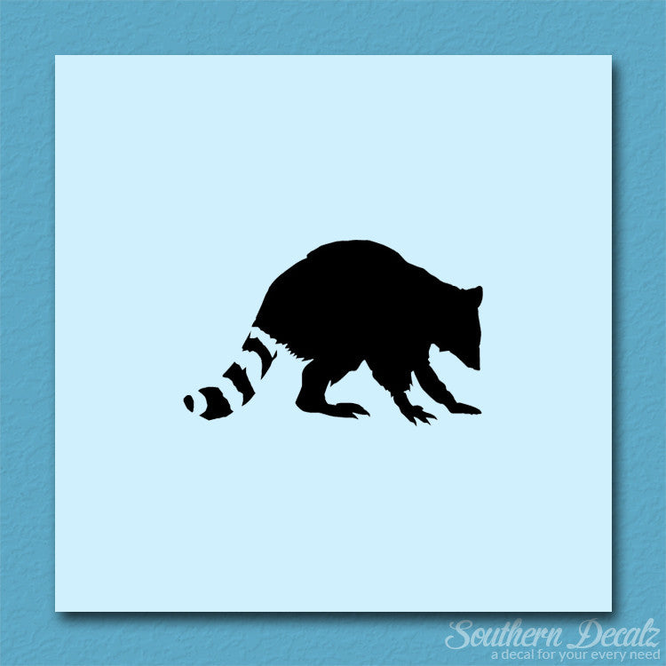 Raccoon