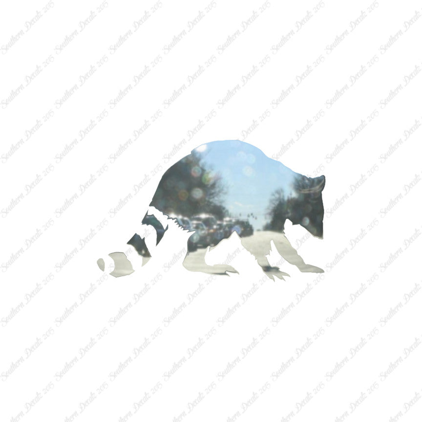 Raccoon