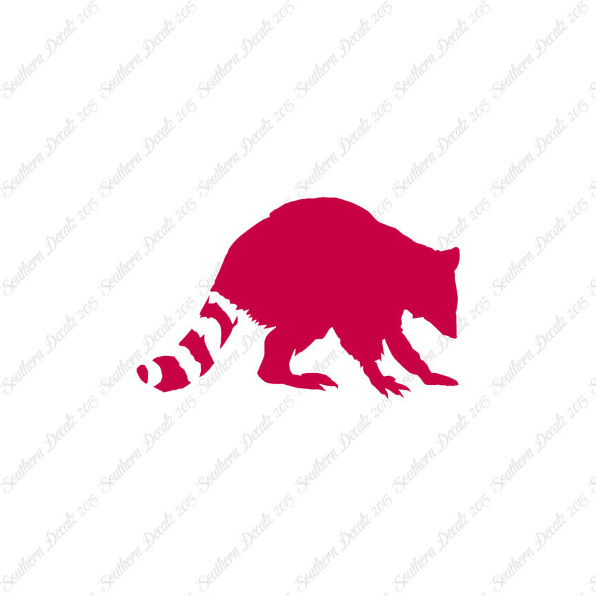 Raccoon