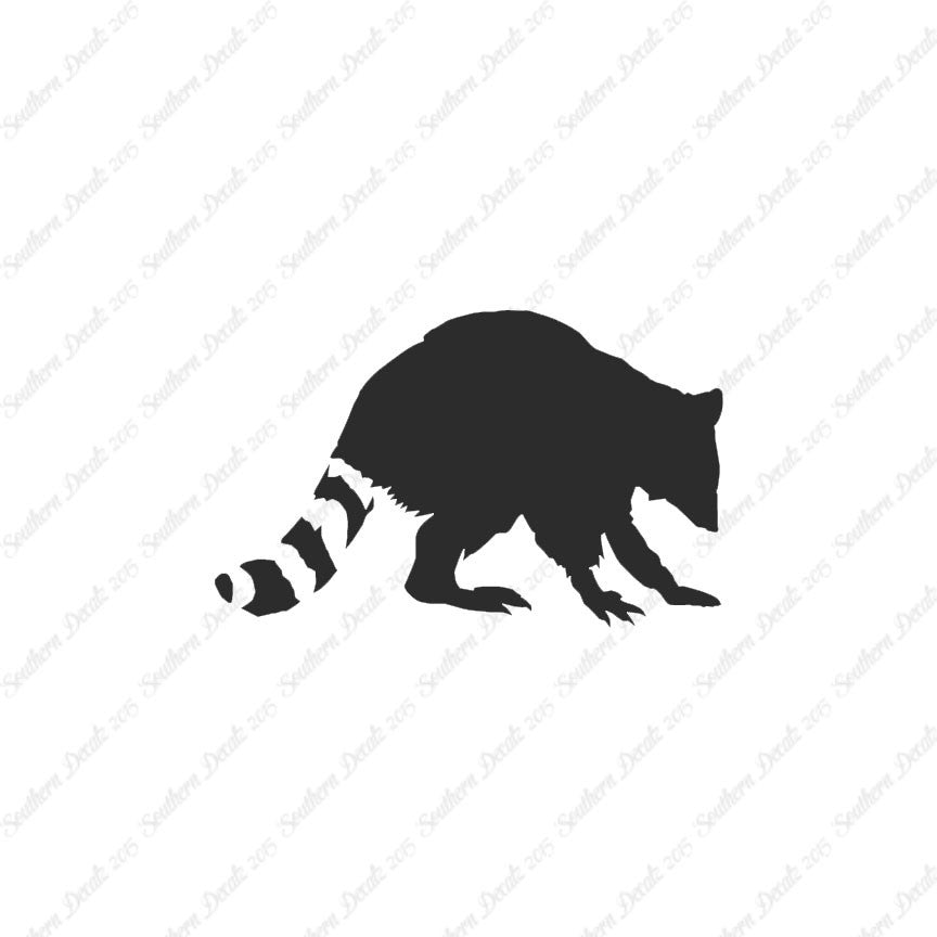Raccoon