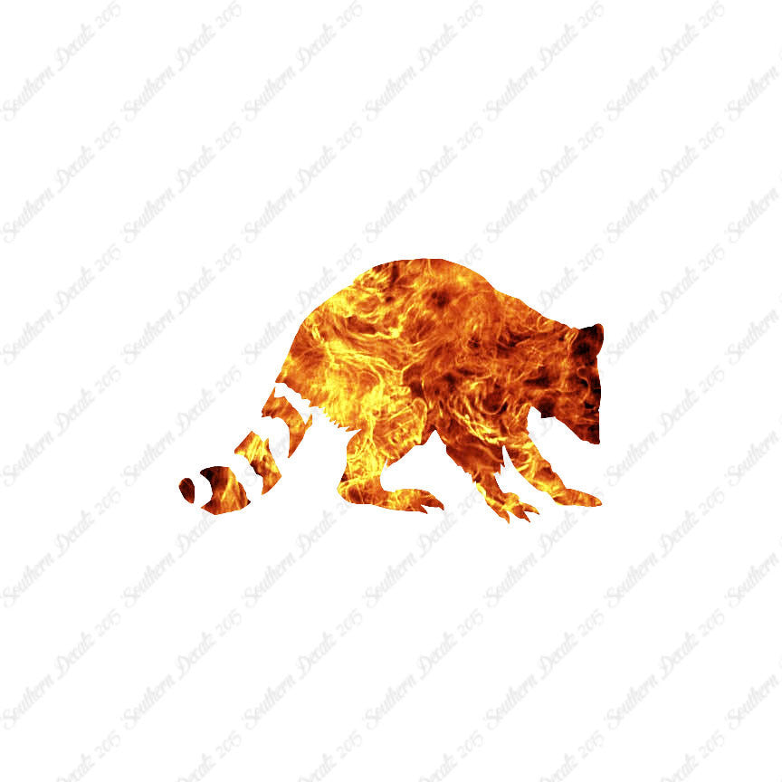 Raccoon