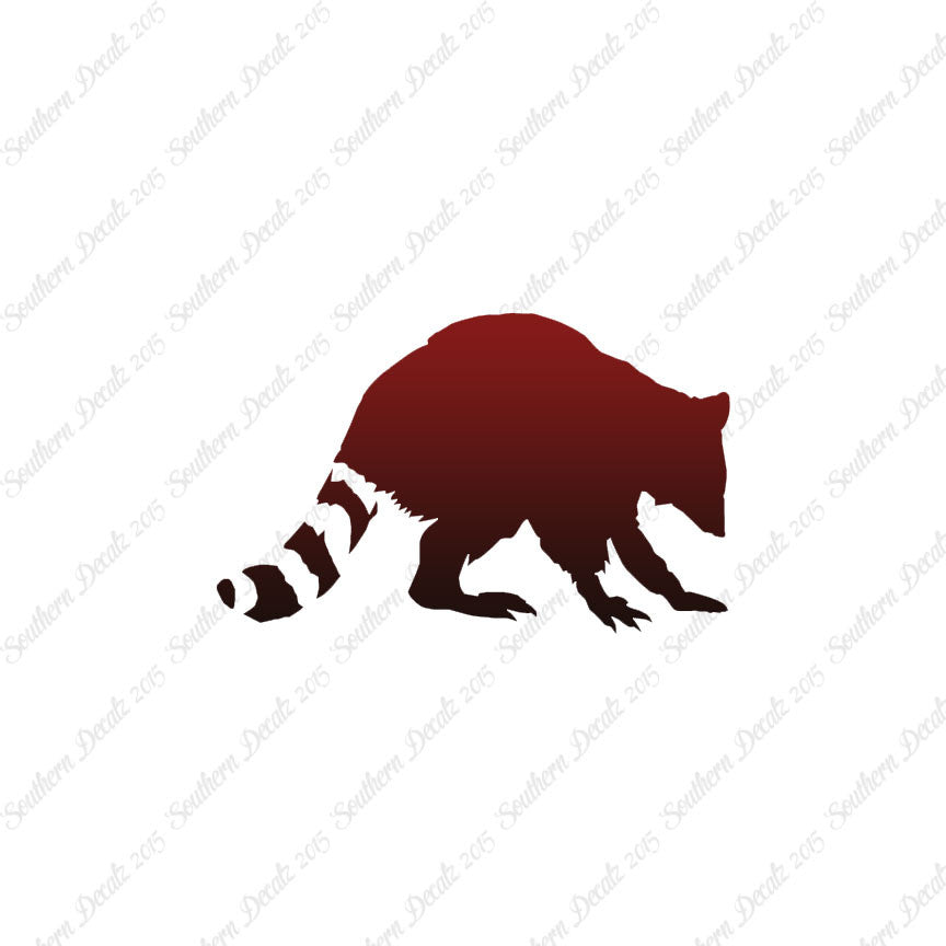 Raccoon