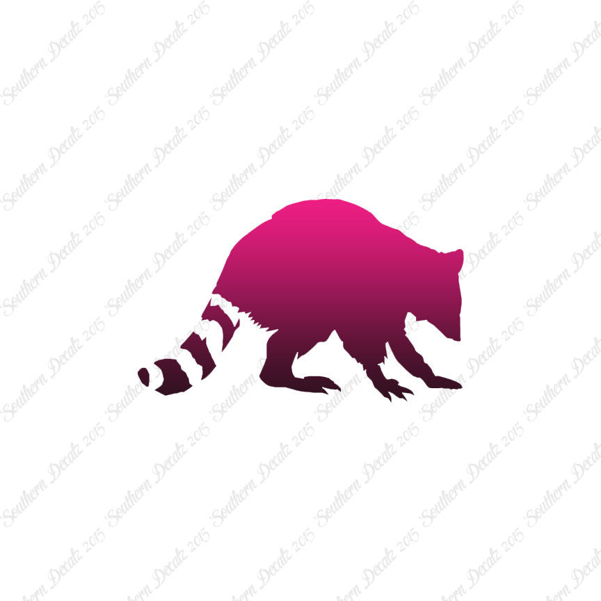 Raccoon