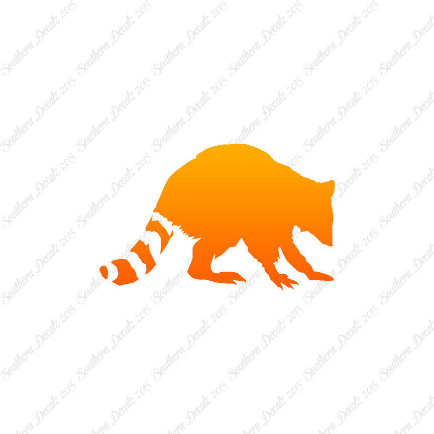 Raccoon