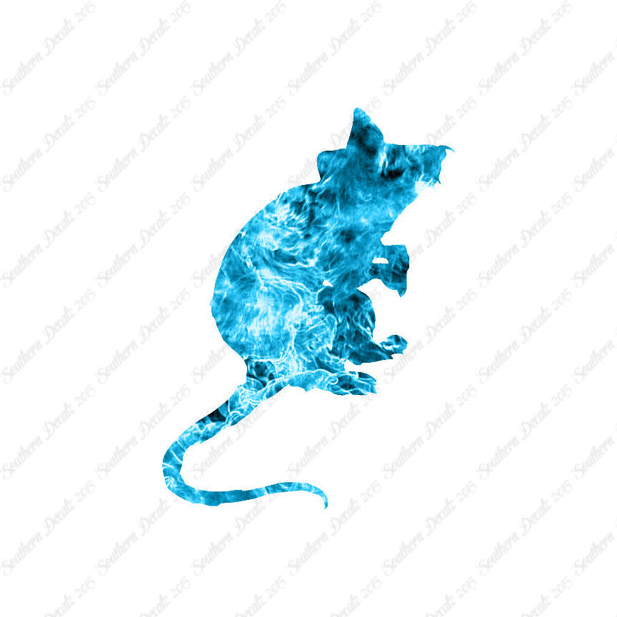 Mouse Rat