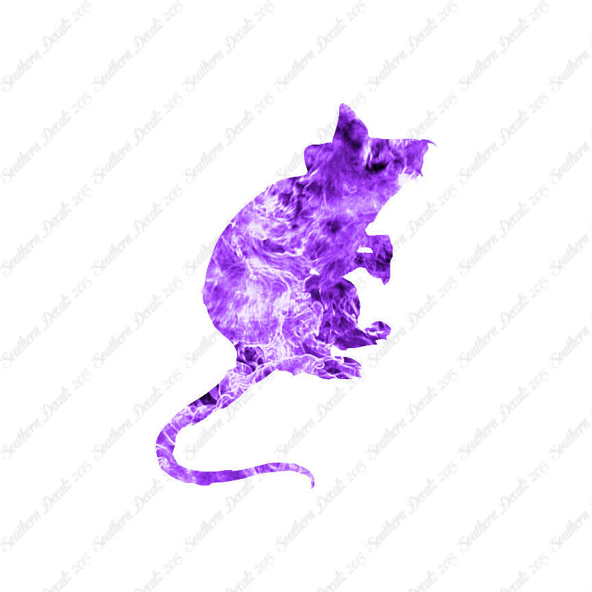 Mouse Rat