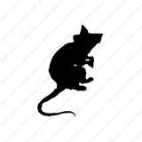 Mouse Rat