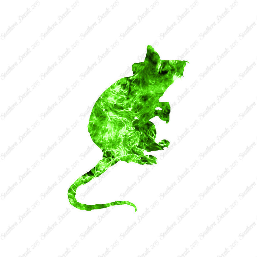 Mouse Rat