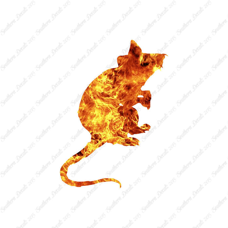 Mouse Rat