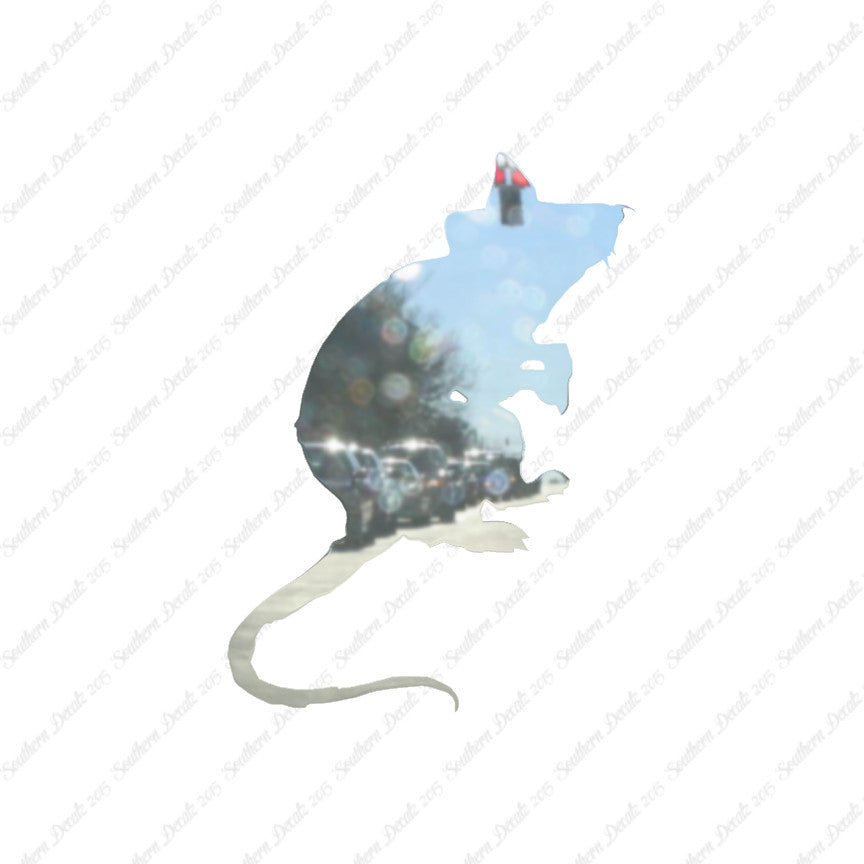 Mouse Rat