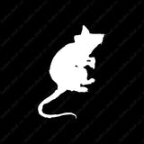 Mouse Rat