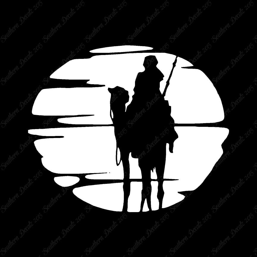Bedouin Camel Sunset