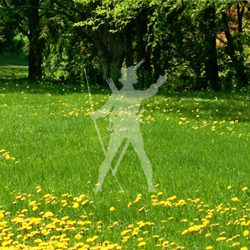 Archer Robin Hood