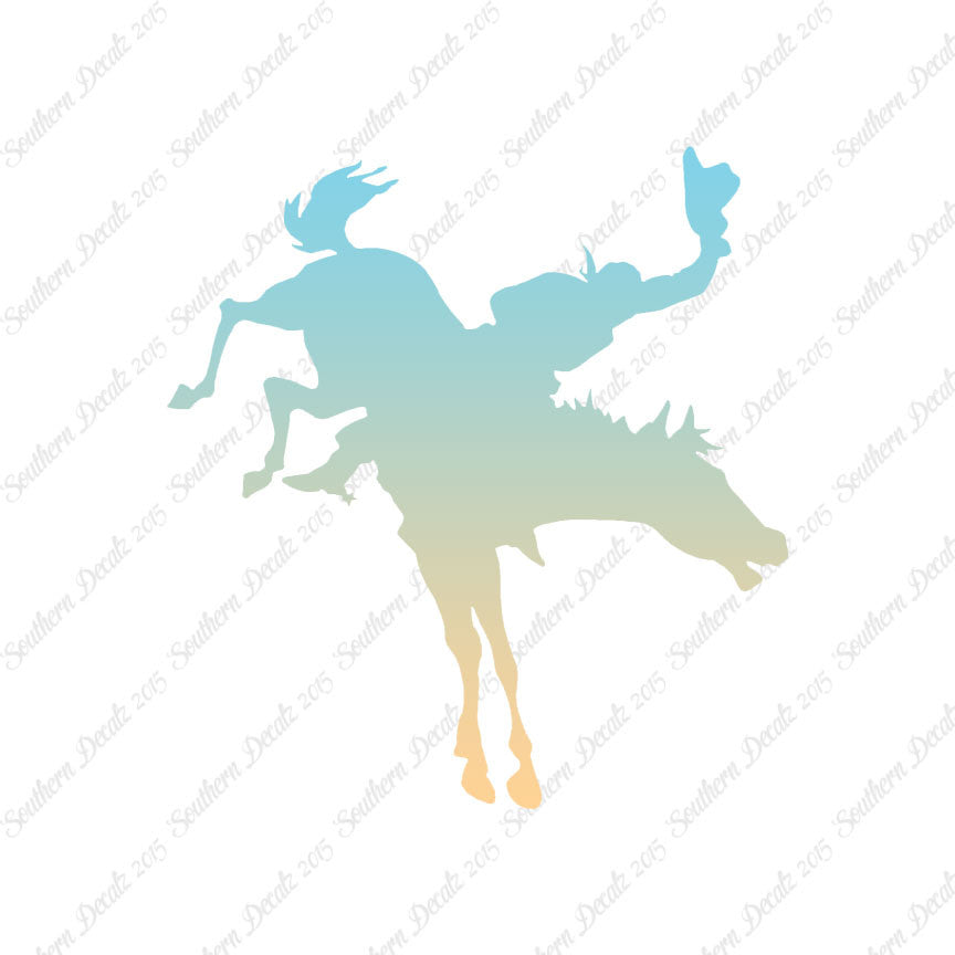 Rodeo Horse Stallion