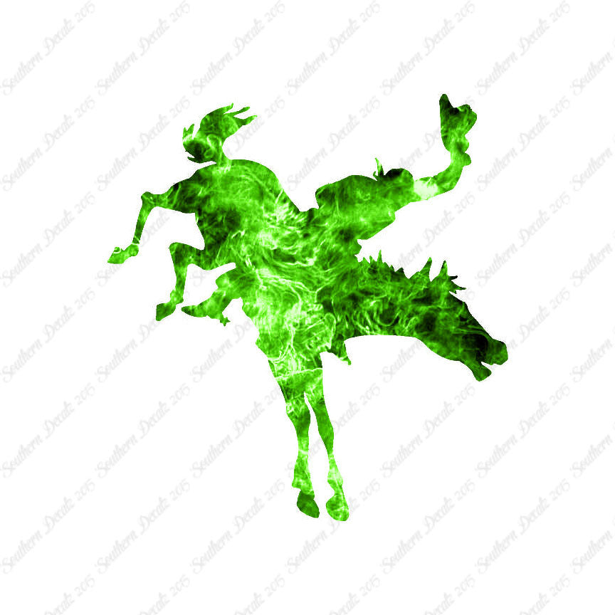Rodeo Horse Stallion