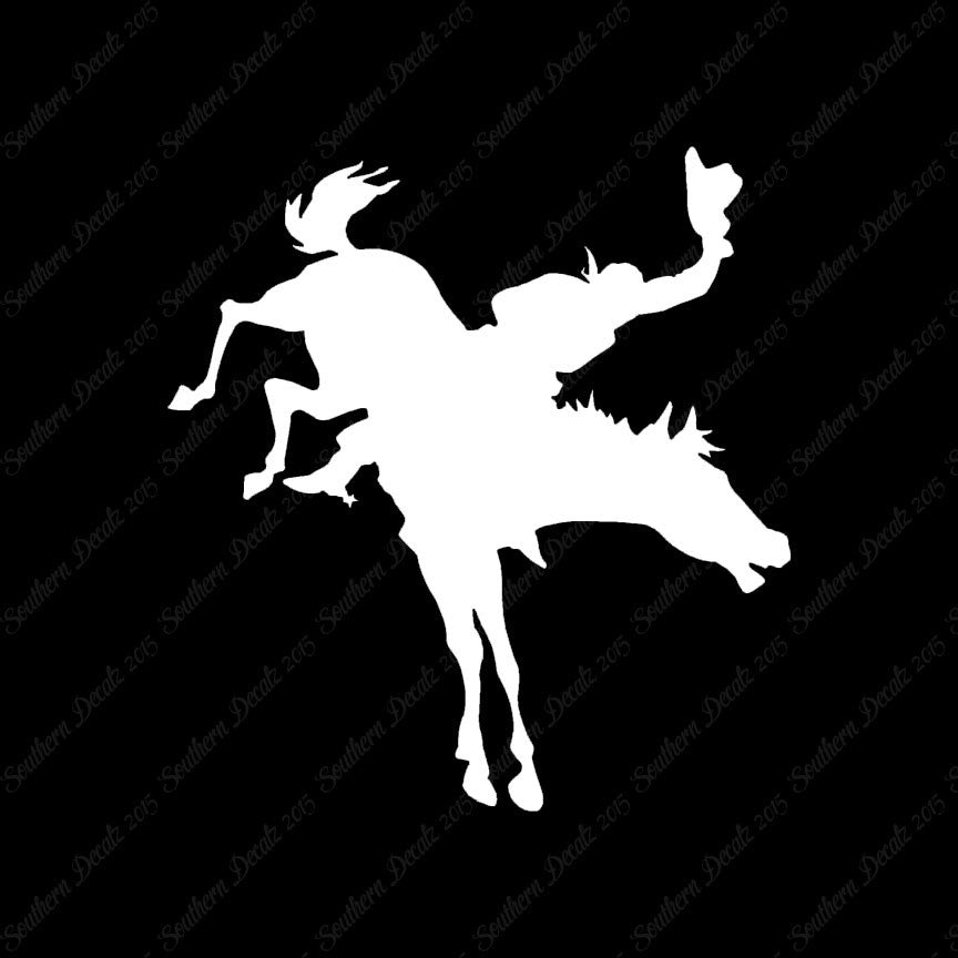 Rodeo Horse Stallion