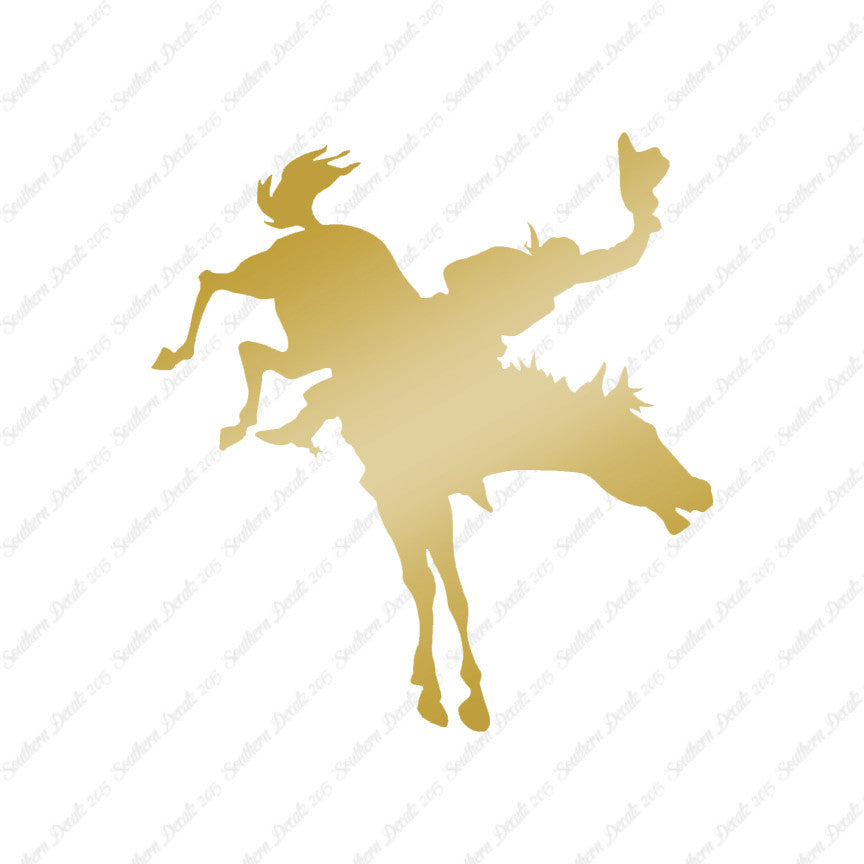 Rodeo Horse Stallion