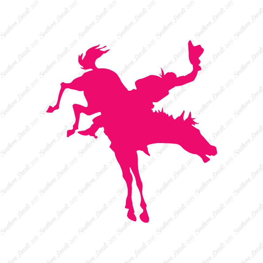 Rodeo Horse Stallion