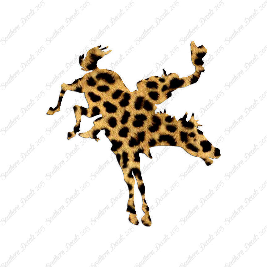 Rodeo Horse Stallion