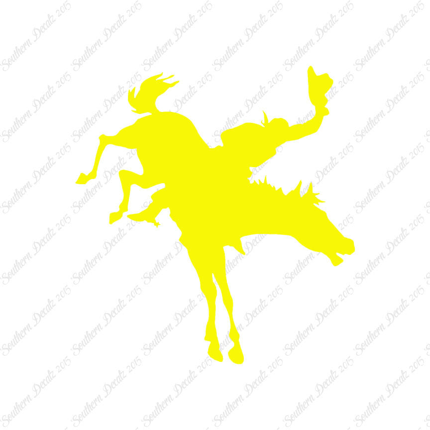 Rodeo Horse Stallion