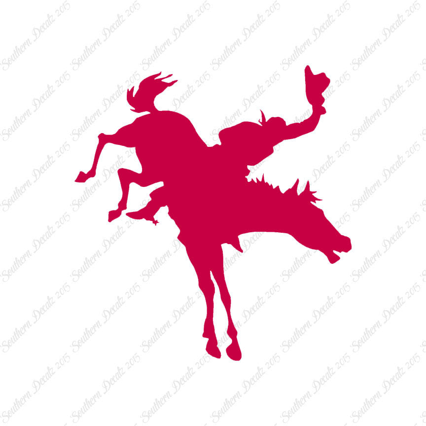 Rodeo Horse Stallion