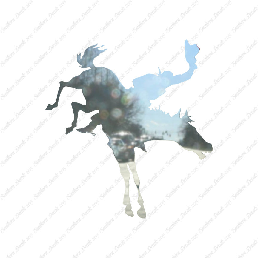 Rodeo Horse Stallion