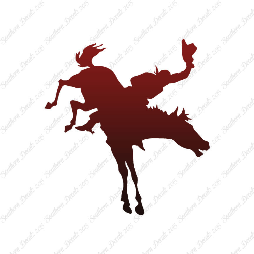 Rodeo Horse Stallion