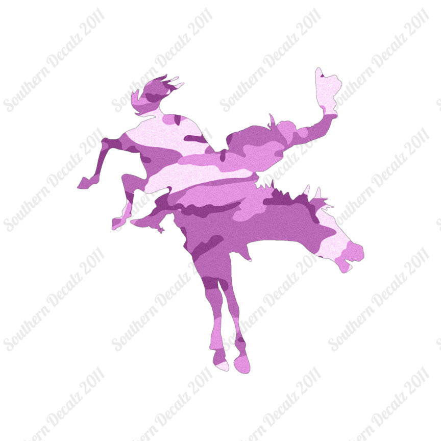 Rodeo Horse Stallion
