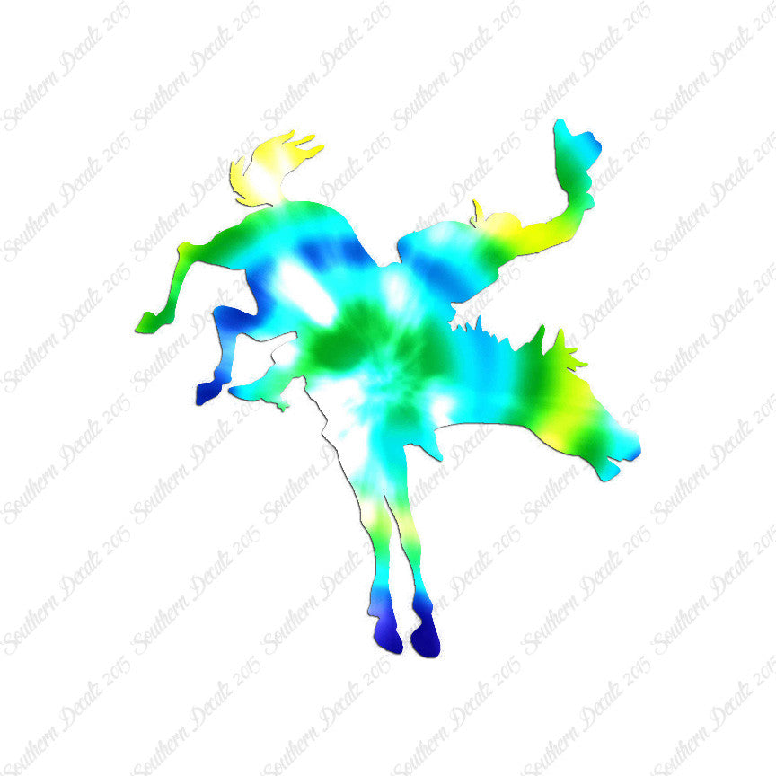Rodeo Horse Stallion