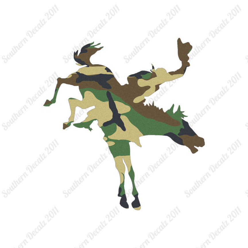 Rodeo Horse Stallion