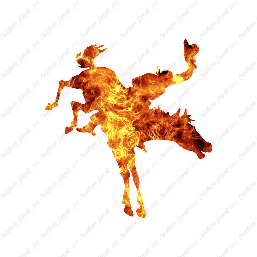 Rodeo Horse Stallion