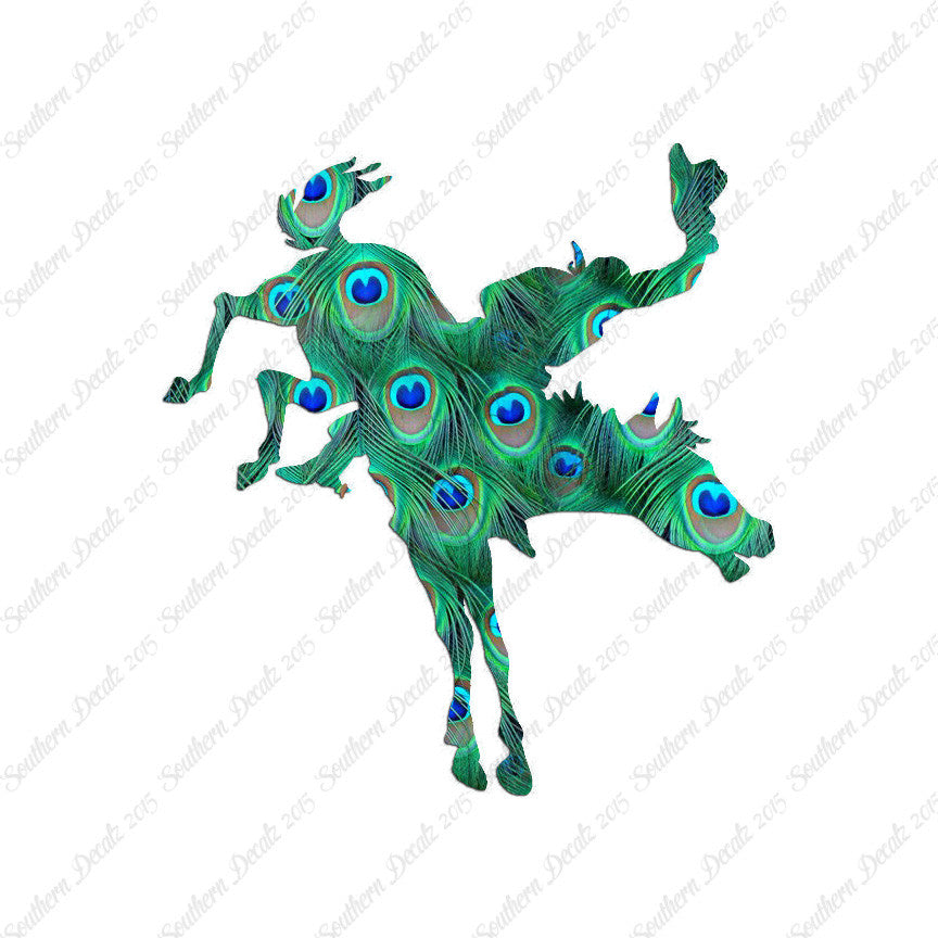 Rodeo Horse Stallion