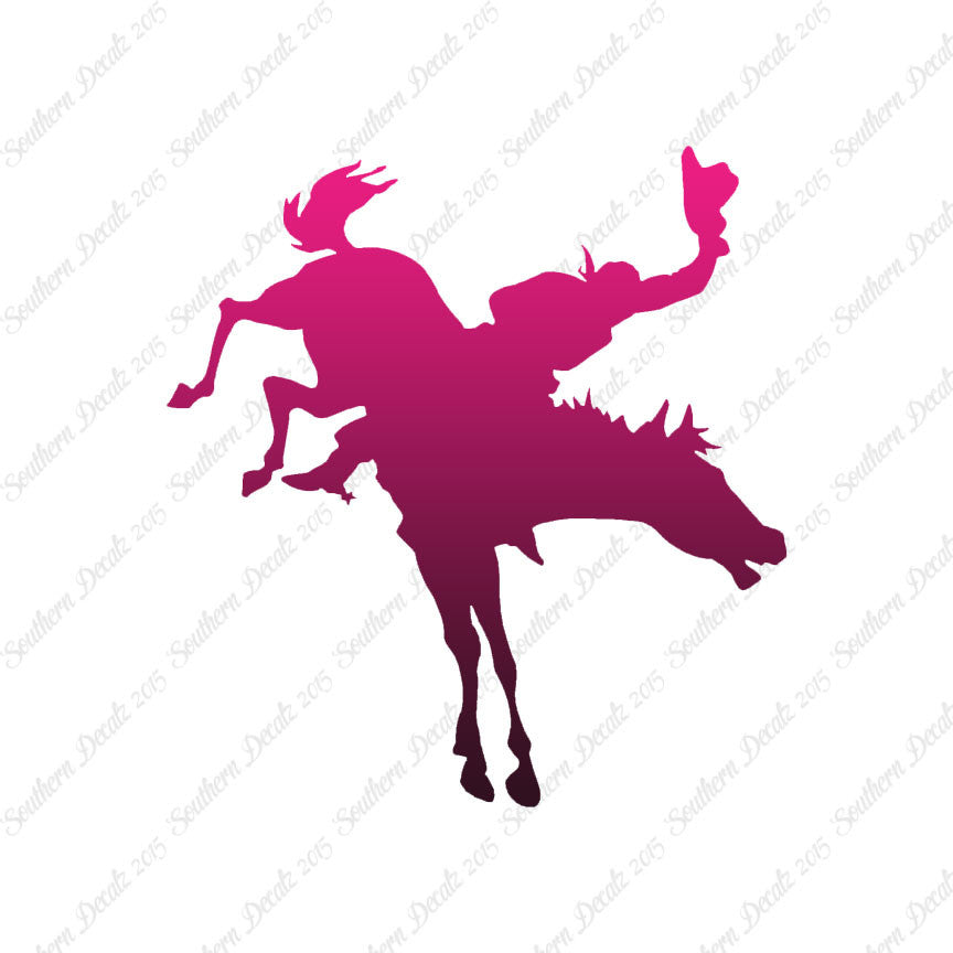 Rodeo Horse Stallion