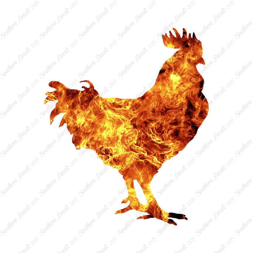 Rooster Chicken Poultry