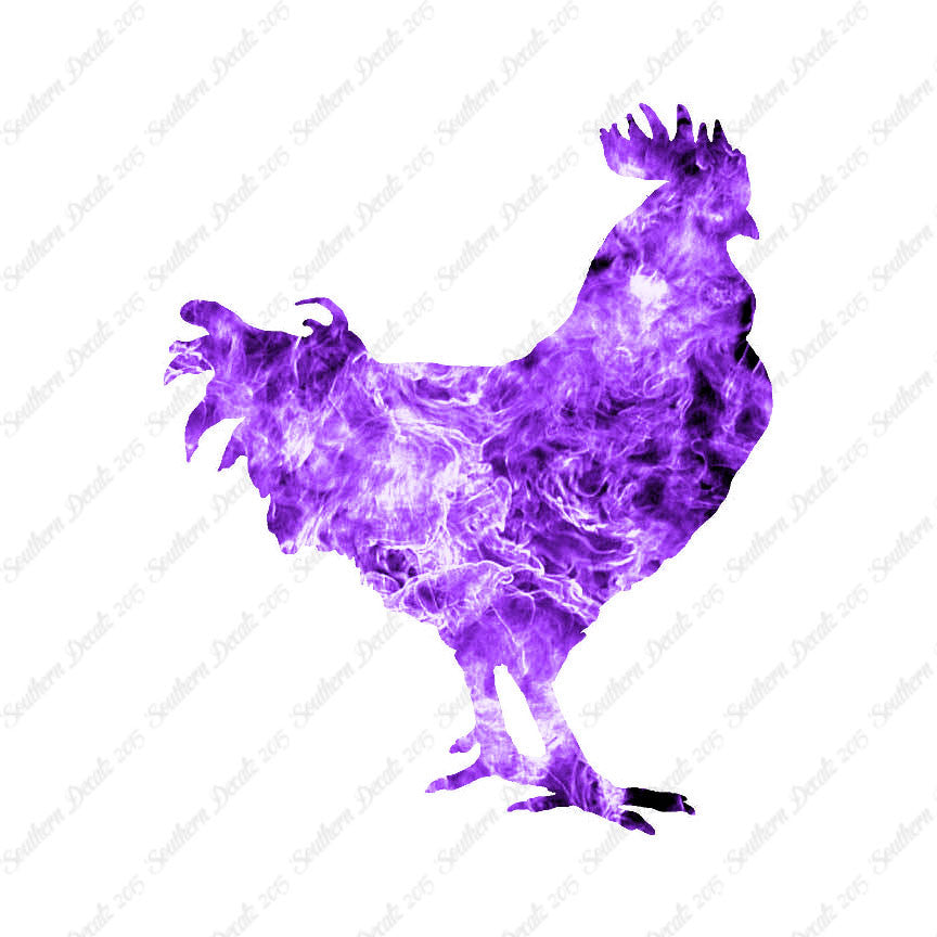 Rooster Chicken Poultry