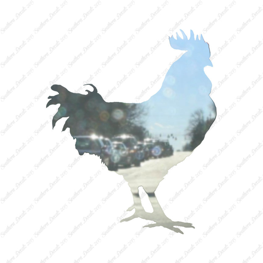 Rooster Chicken Poultry