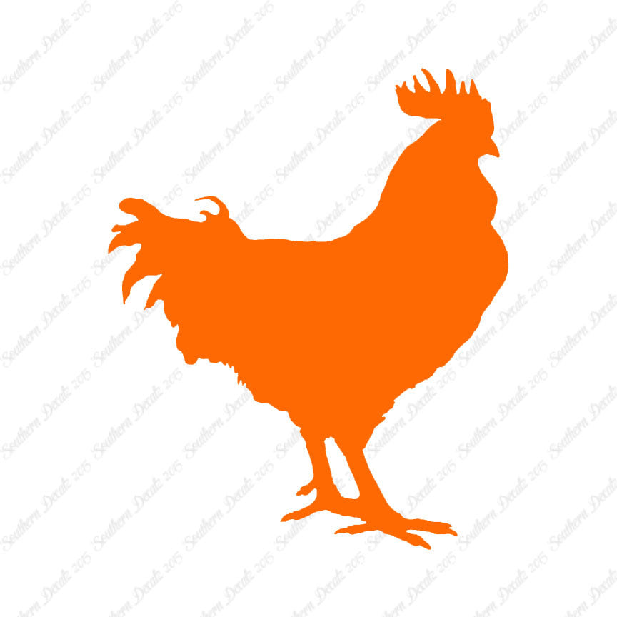 Rooster Chicken Poultry