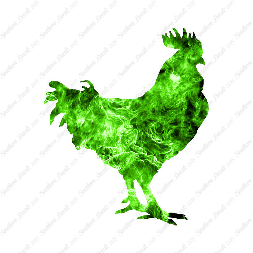 Rooster Chicken Poultry