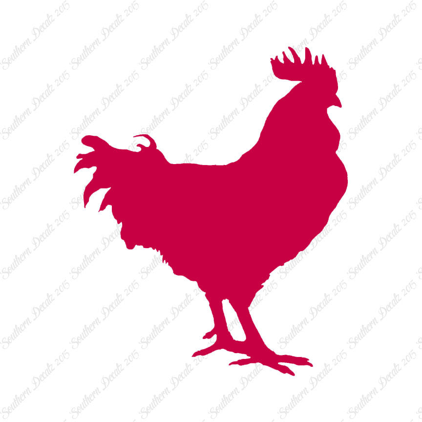 Rooster Chicken Poultry
