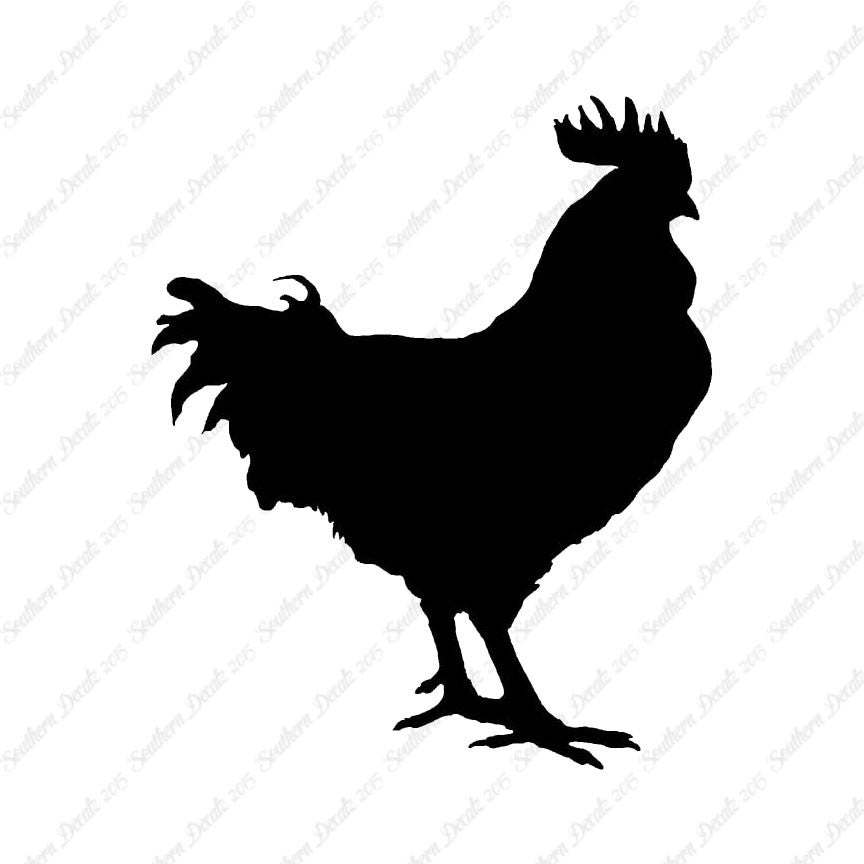 Rooster Chicken Poultry