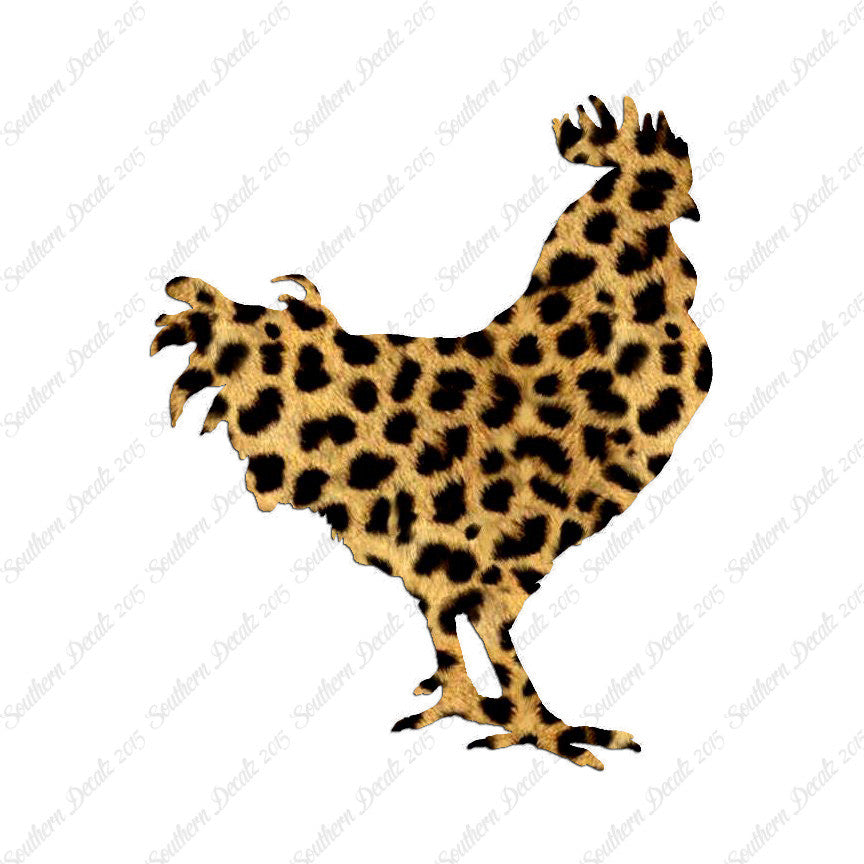 Rooster Chicken Poultry