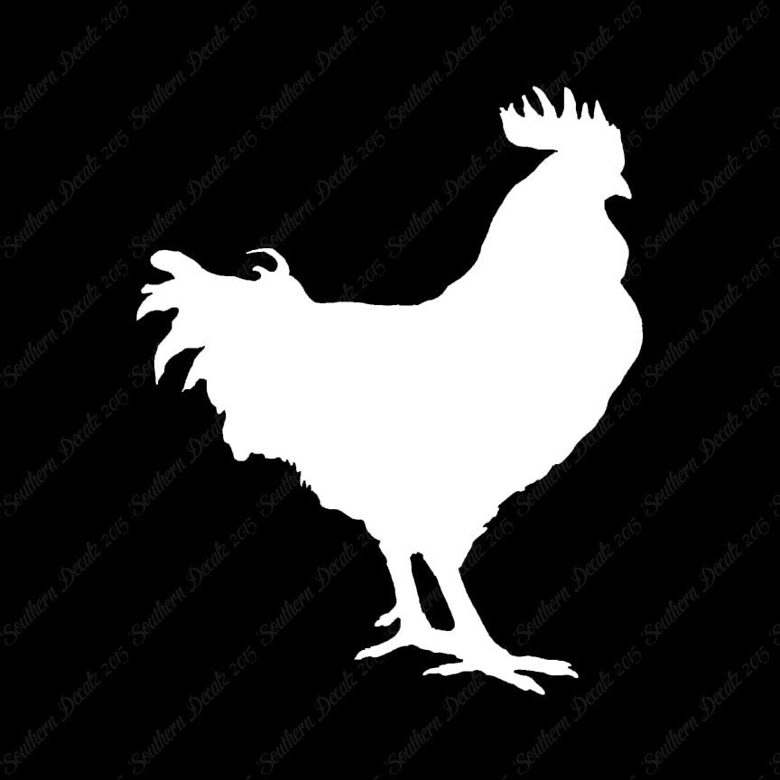Rooster Chicken Poultry