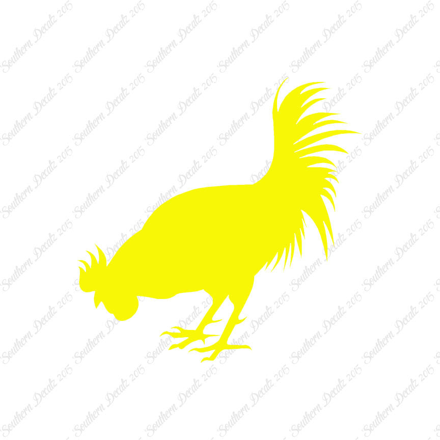 Chicken Rooster Poultry